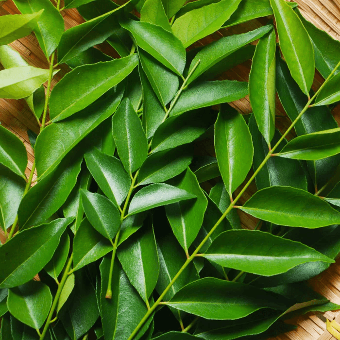 Curry Leaves