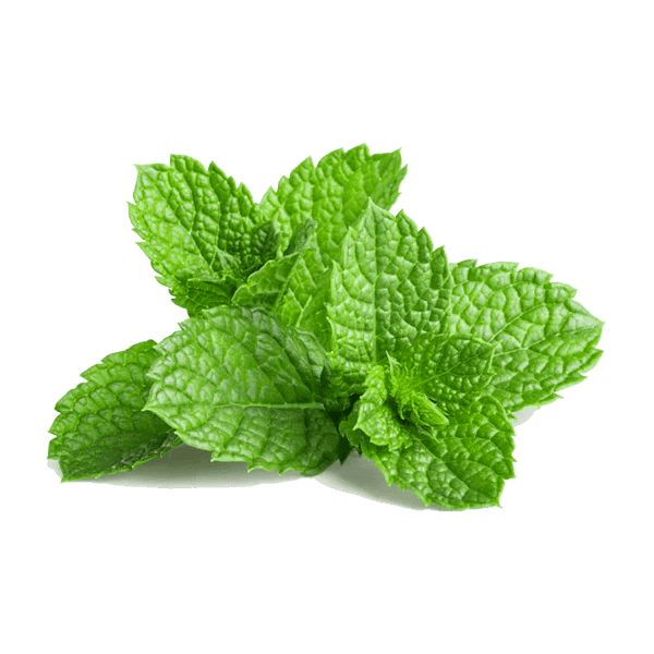 Mint
